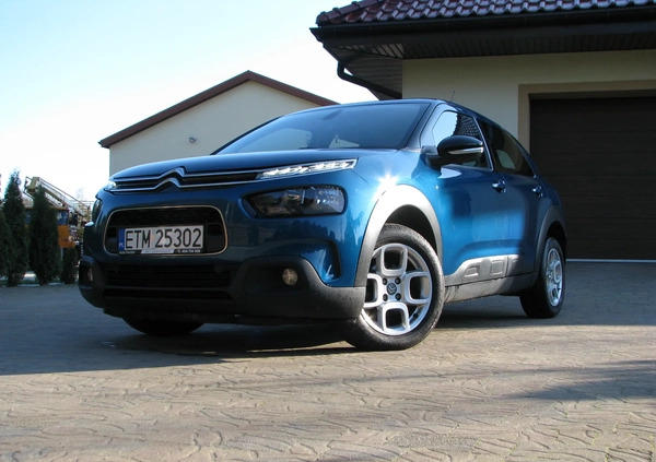 Citroen C4 Cactus cena 51900 przebieg: 65500, rok produkcji 2019 z Pruszcz Gdański małe 379